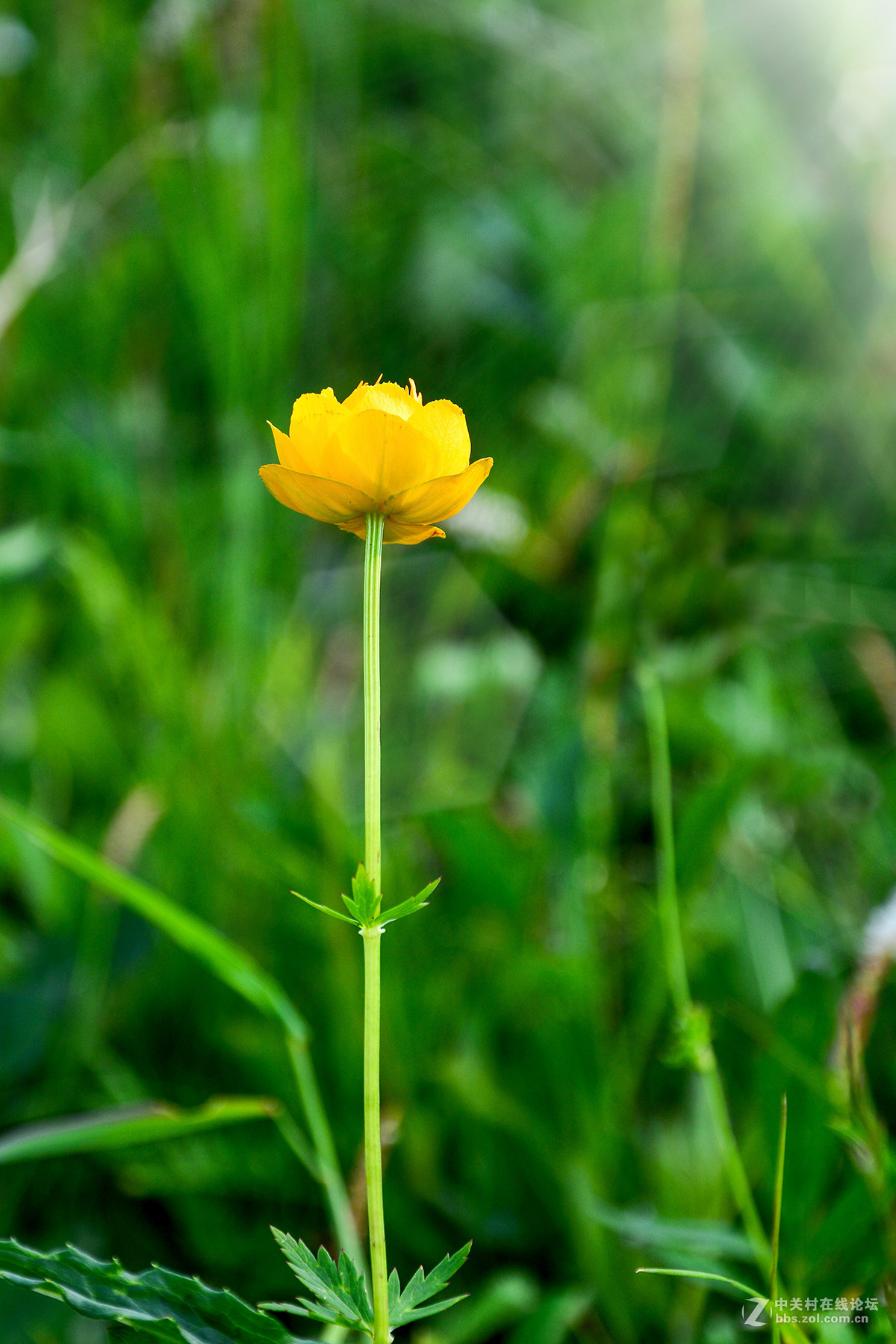 16-85外出露营 横扫全景