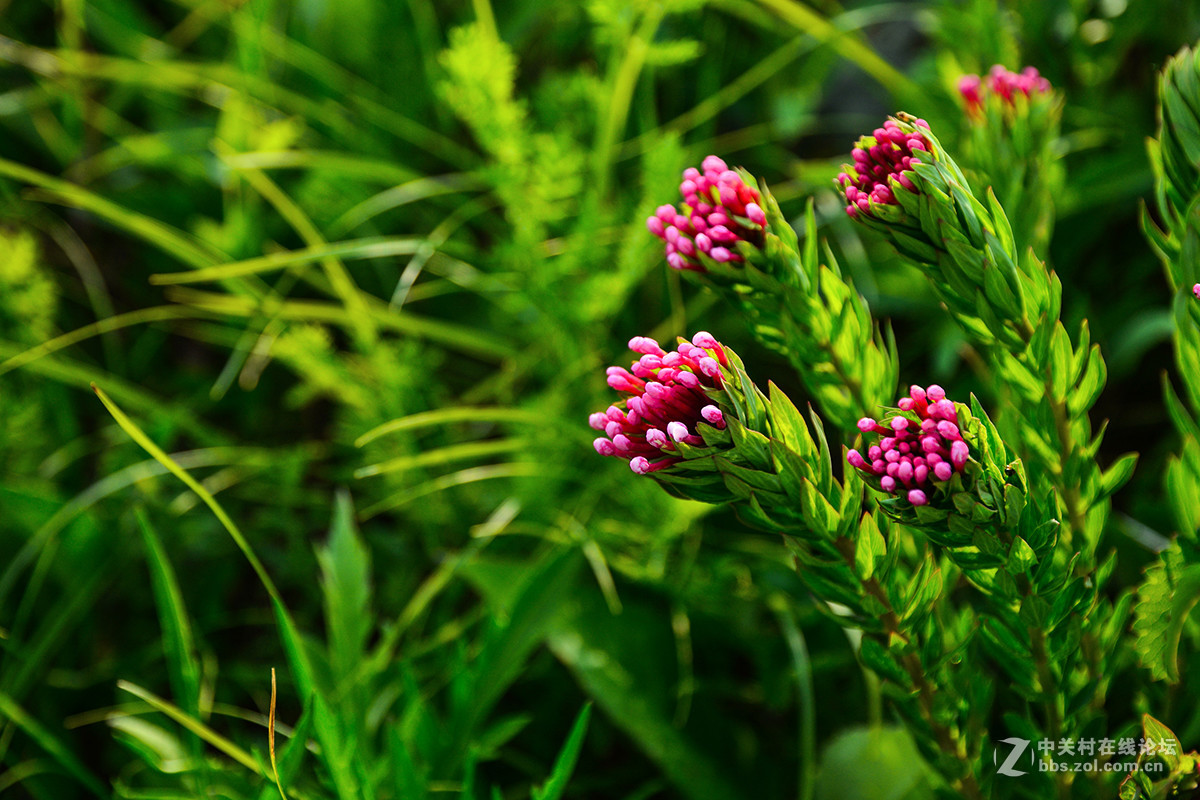 16-85外出露营 横扫全景