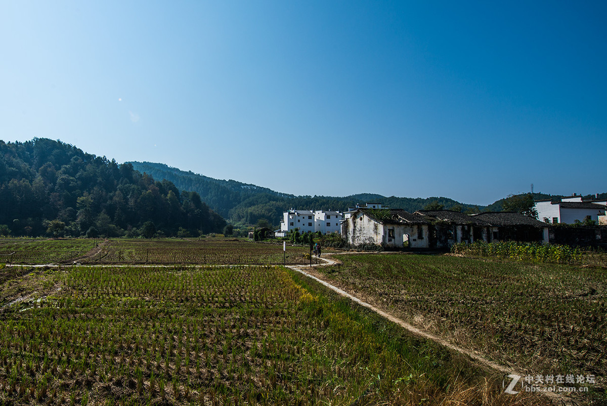 婺源思溪延村之延村2015.10.20.