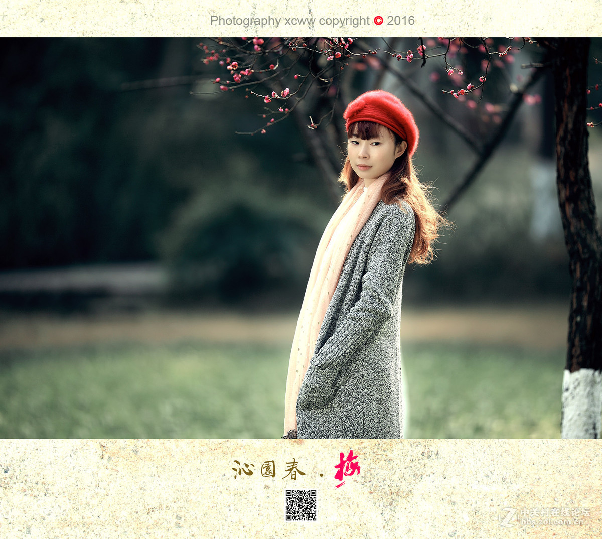 喜出望外作品——《沁园春 .　梅》