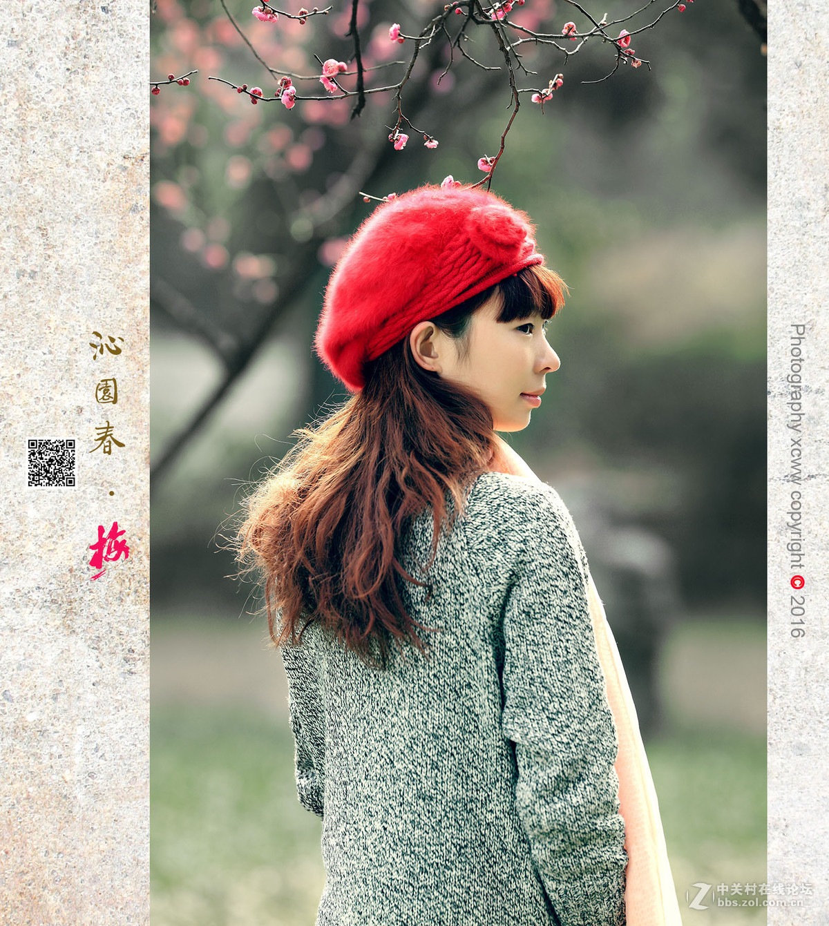 喜出望外作品——《沁园春 .　梅》