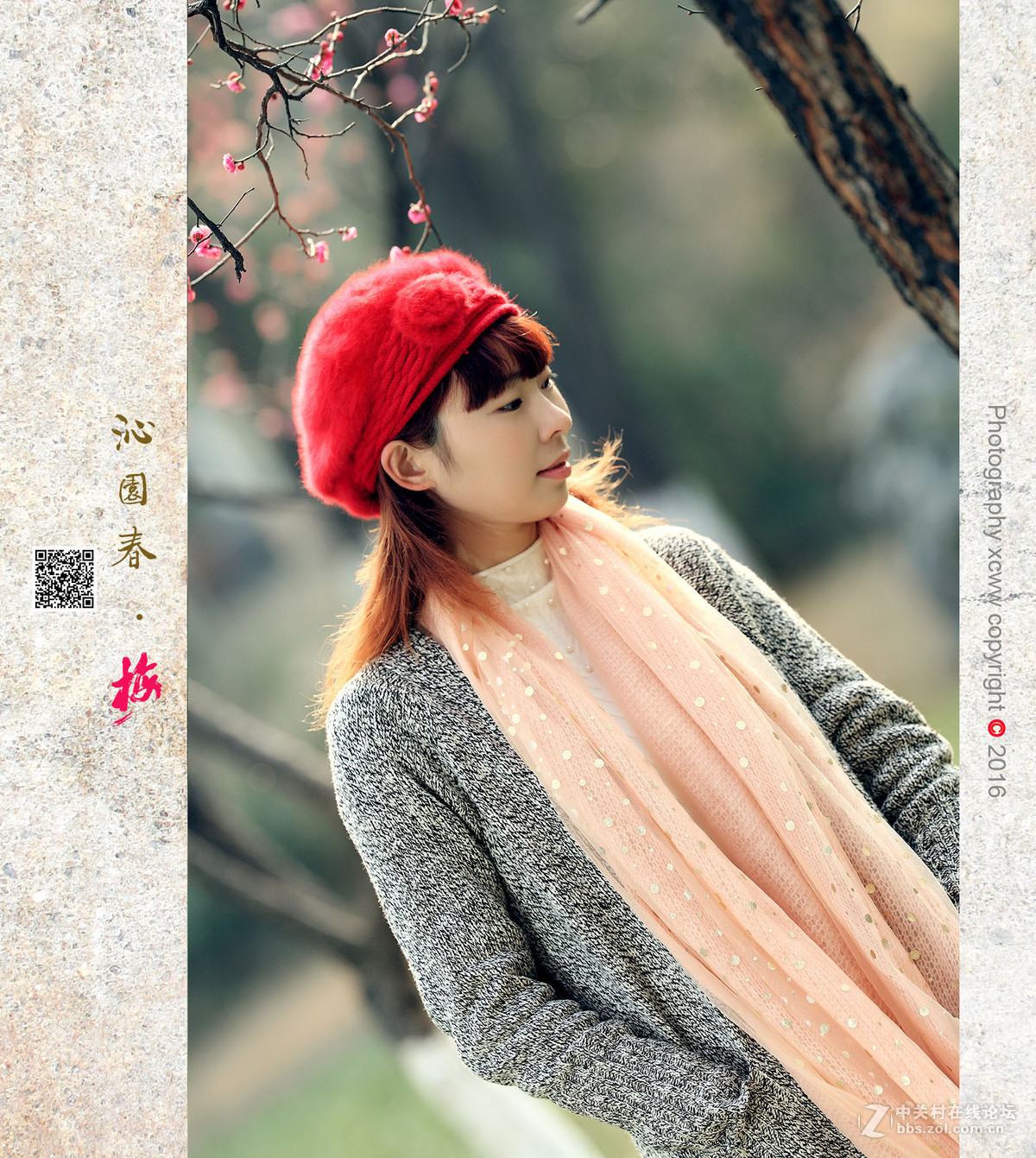 喜出望外作品——《沁园春 .　梅》