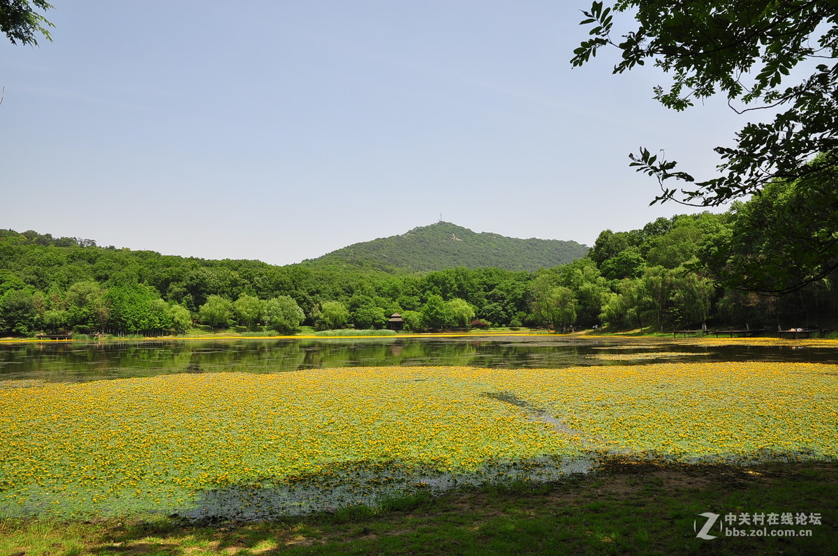 黄花湖--琵琶湖