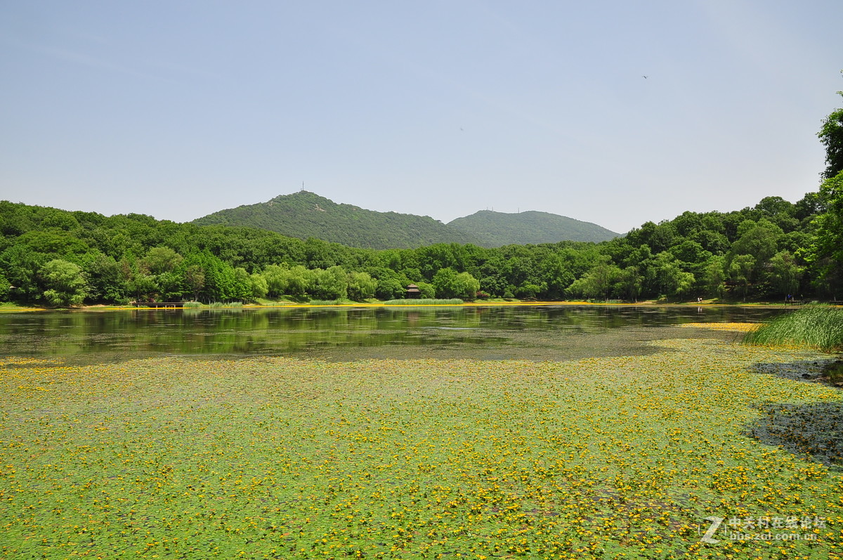 黄花湖--琵琶湖