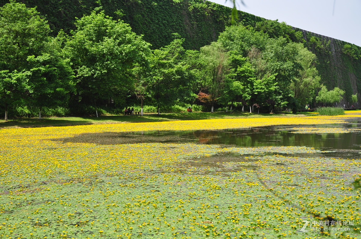黄花湖--琵琶湖