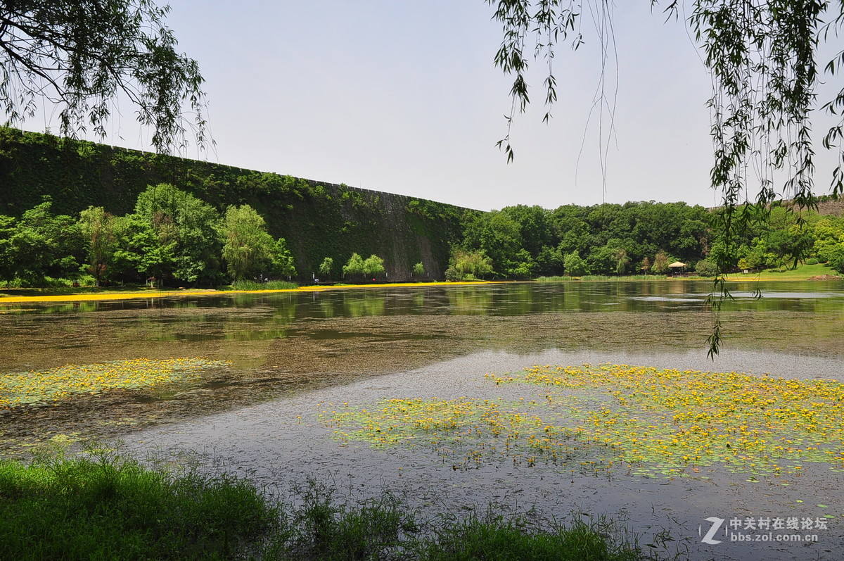 黄花湖--琵琶湖