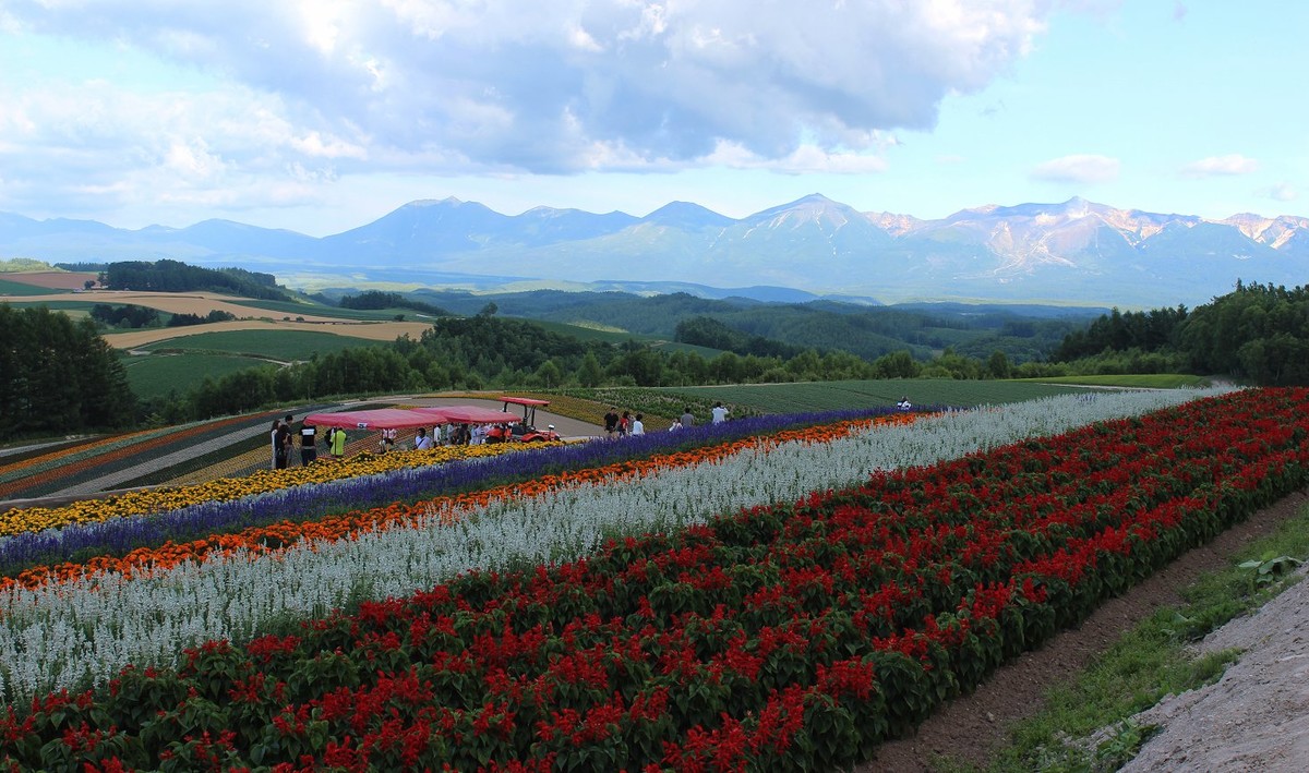 日本  北海道风光
