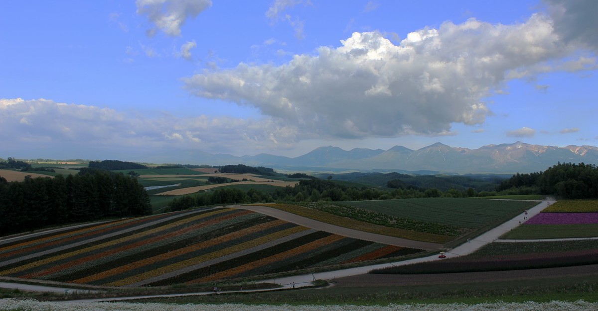 日本  北海道风光