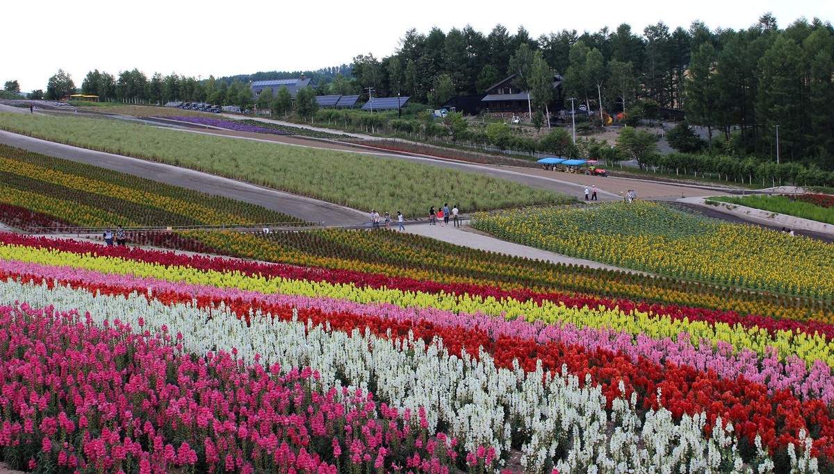 日本  北海道风光