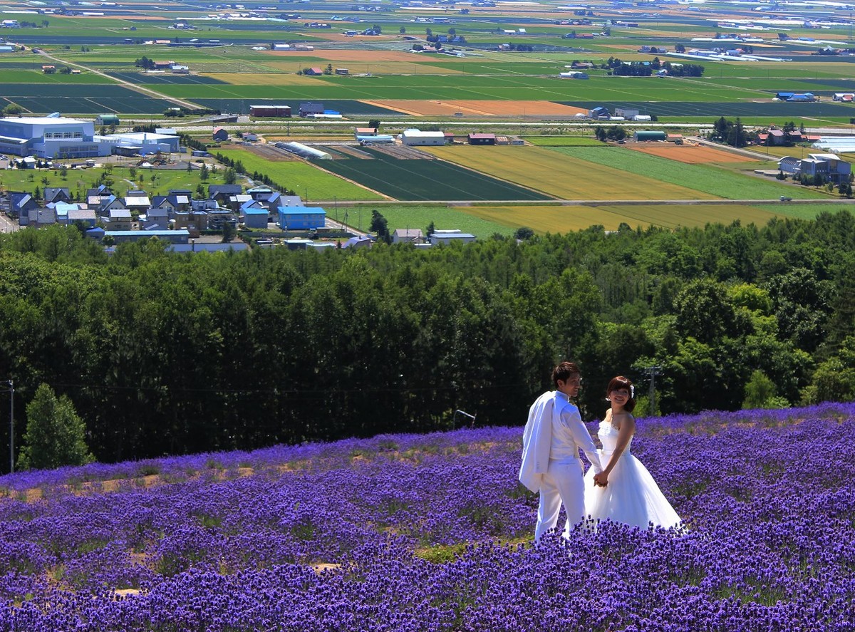 日本  北海道风光