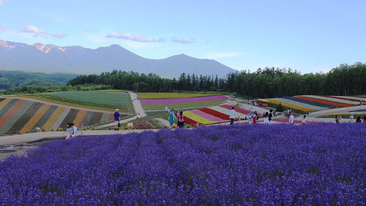 日本  北海道风光