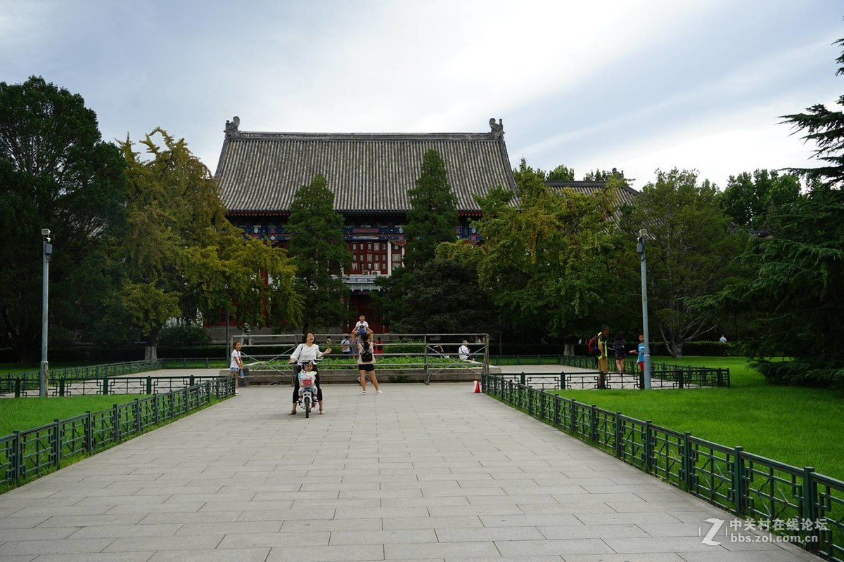 北京大學燕園隨拍-中關村在線攝影論壇