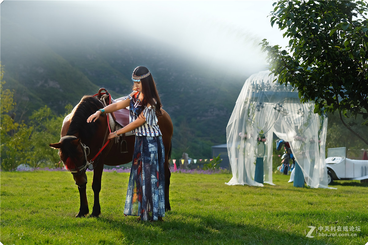 富士相机2.。。。。。。。。。。。。。。。