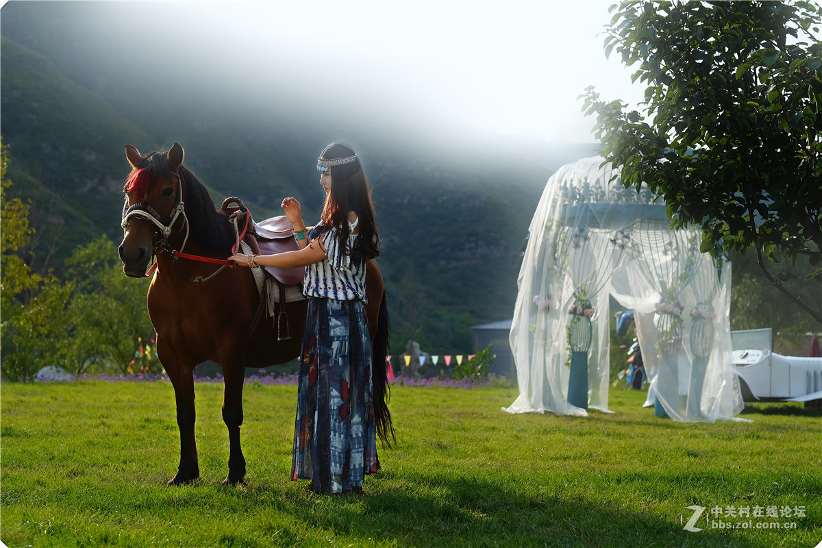 富士相机2.。。。。。。。。。。。。。。。