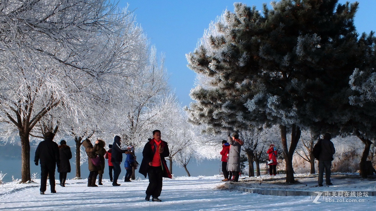 冰天雪地，美丽冻人。