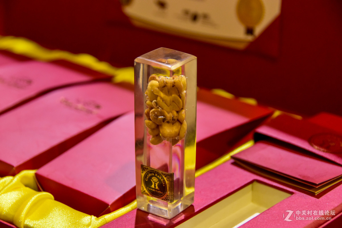 巴厘岛人文记录贴——全程D5500+DX 18-200mm VR II。