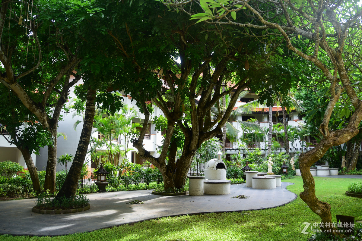 巴厘岛人文记录贴——全程D5500+DX 18-200mm VR II。