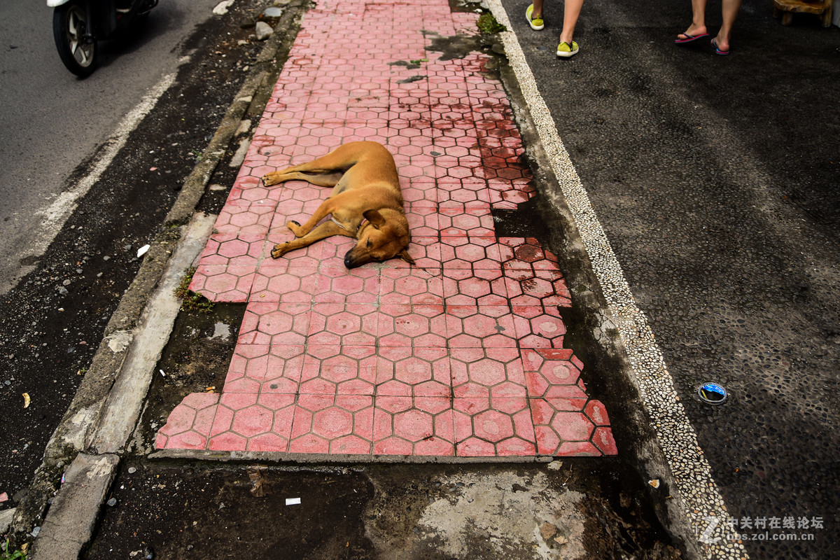 巴厘岛人文记录贴——全程D5500+DX 18-200mm VR II。