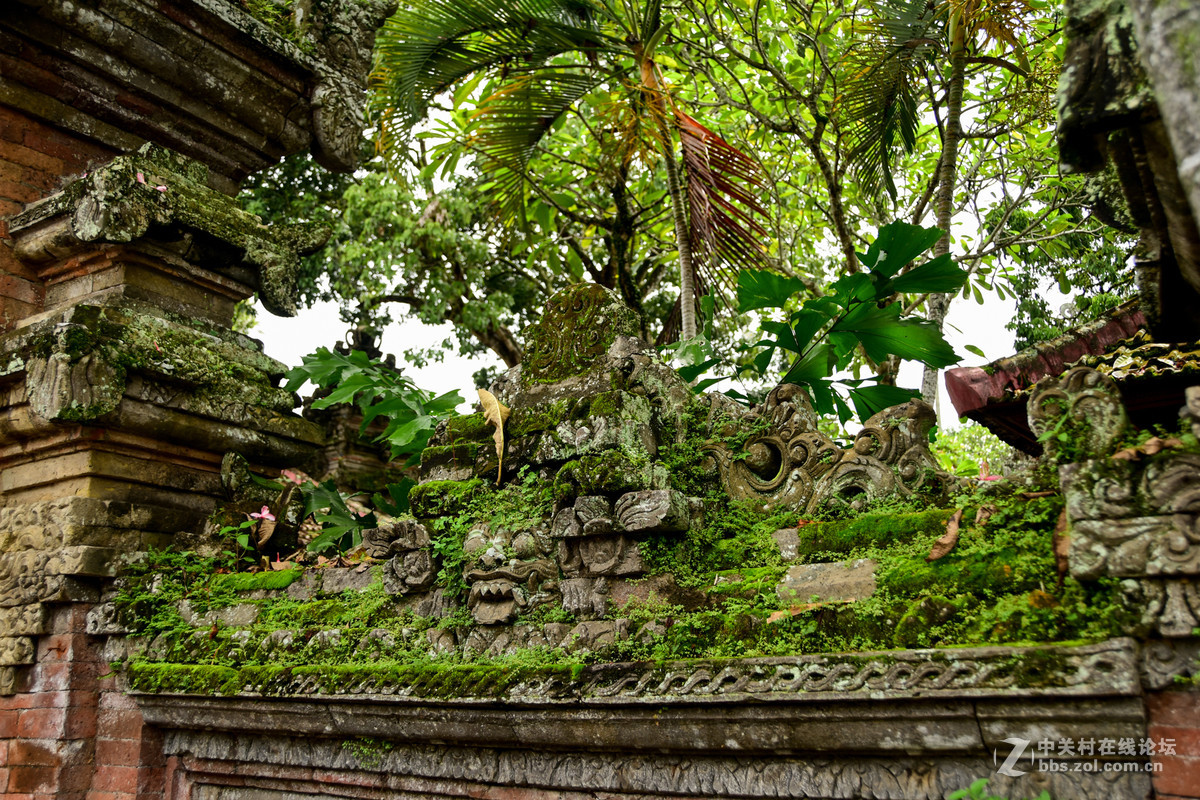 巴厘岛人文记录贴——全程D5500+DX 18-200mm VR II。