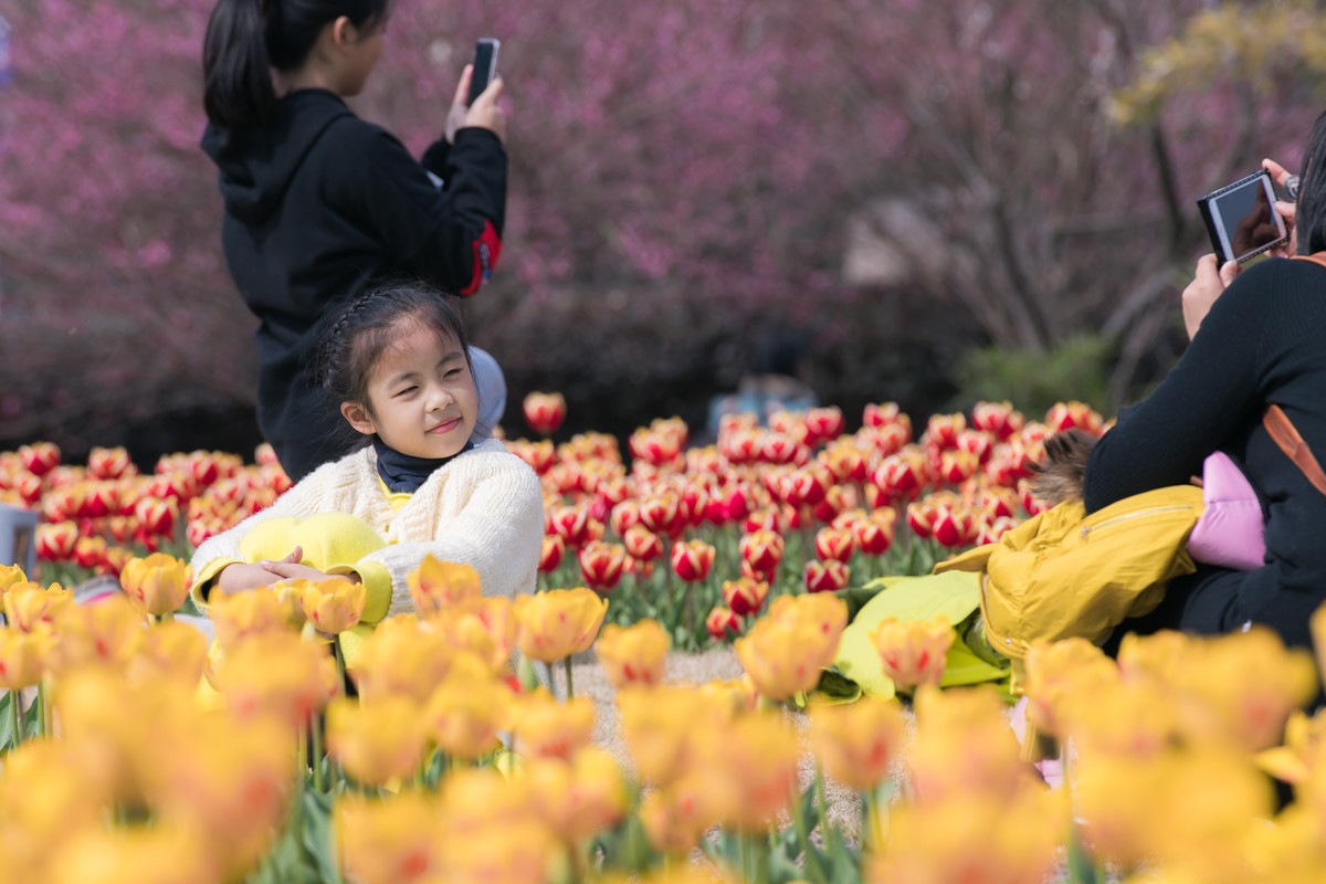 满园春色关不住，郁金花香惹人醉！（2）