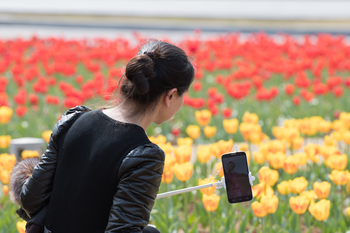 满园春色关不住，郁金花香惹人醉！（2）