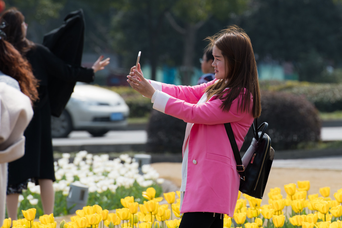 满园春色关不住，郁金花香惹人醉！（2）