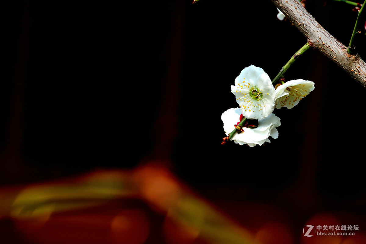 #版主坐堂#腾龙15-30星空(中国)2017年4月精品荟萃