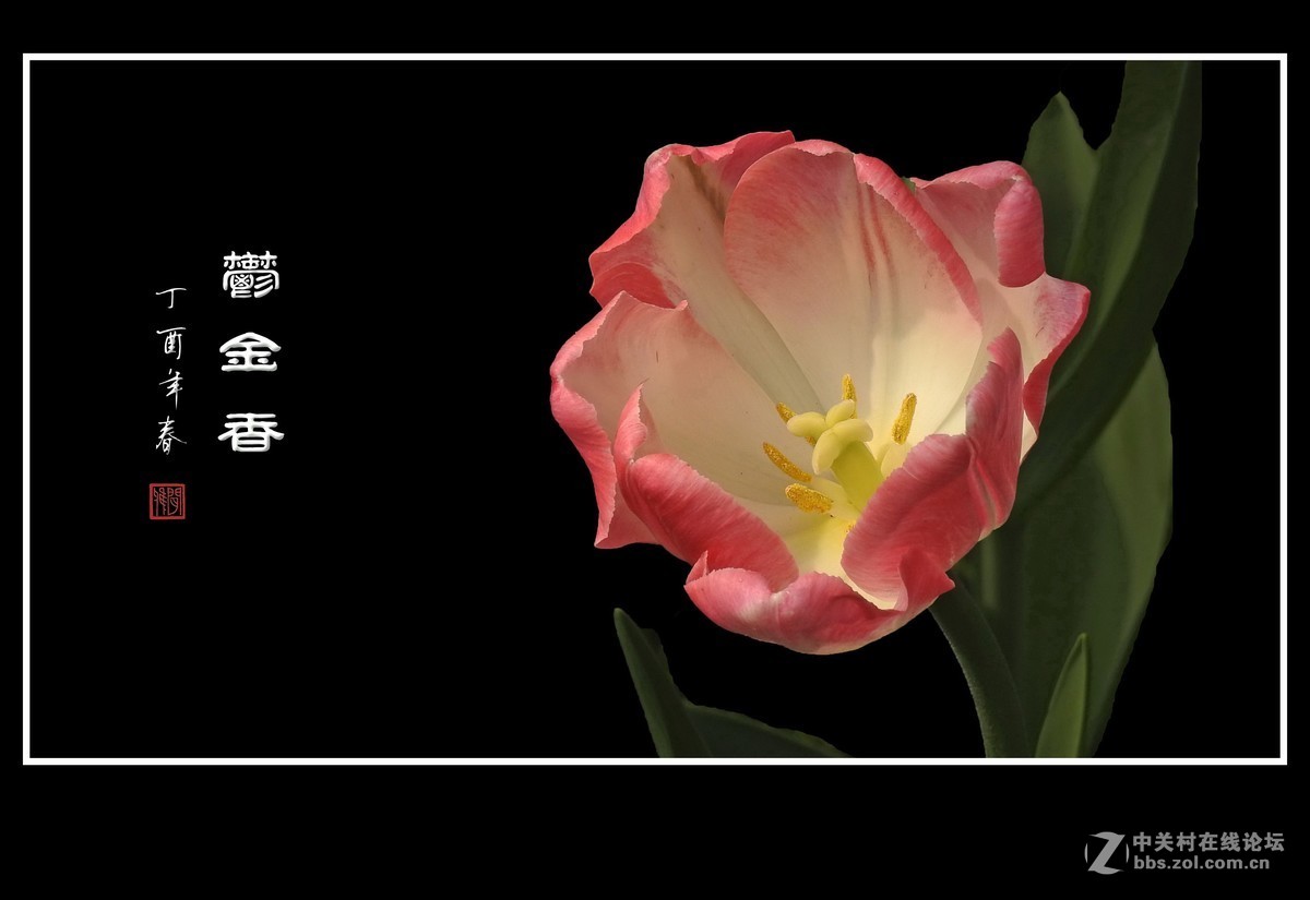 #版主坐堂#腾龙15-30星空(中国)2017年4月精品荟萃