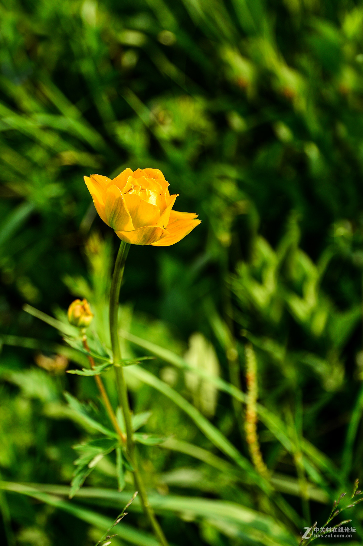 16-85外出露营 横扫全景