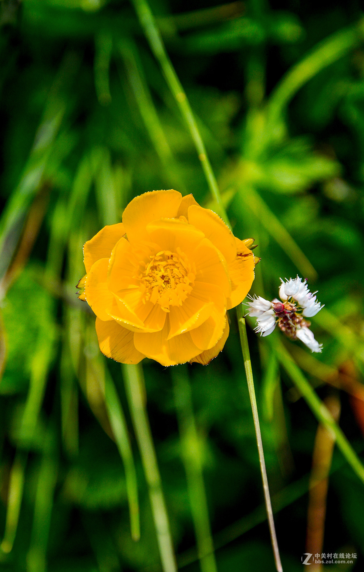 16-85外出露营 横扫全景