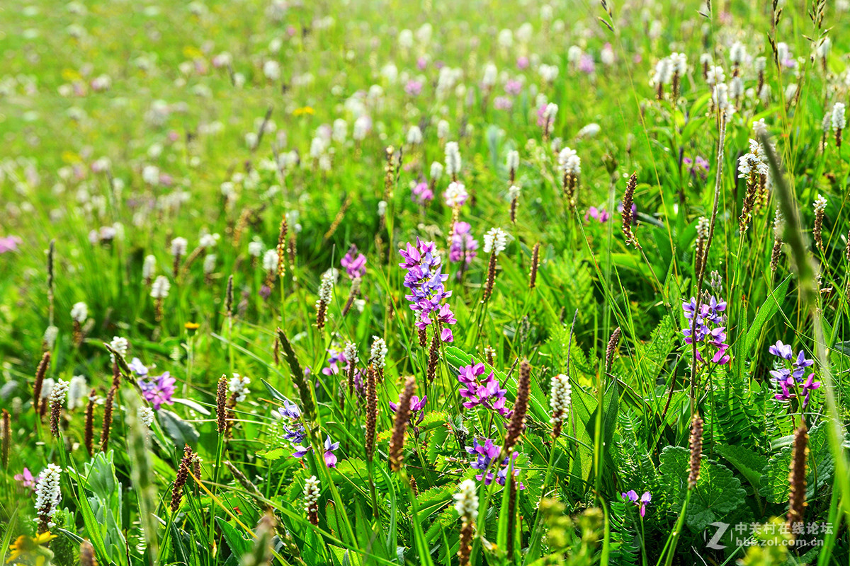 16-85外出露营 横扫全景
