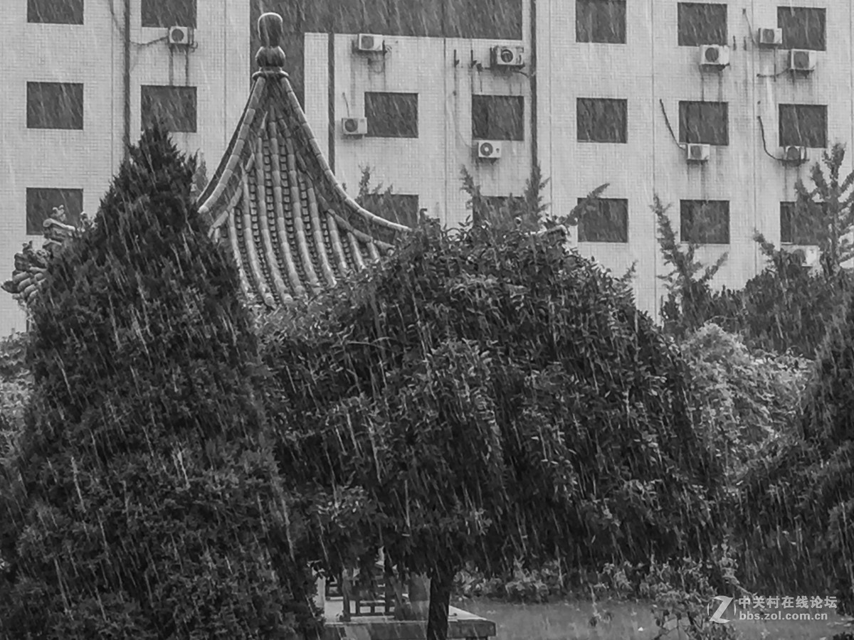 山雨欲来风满楼