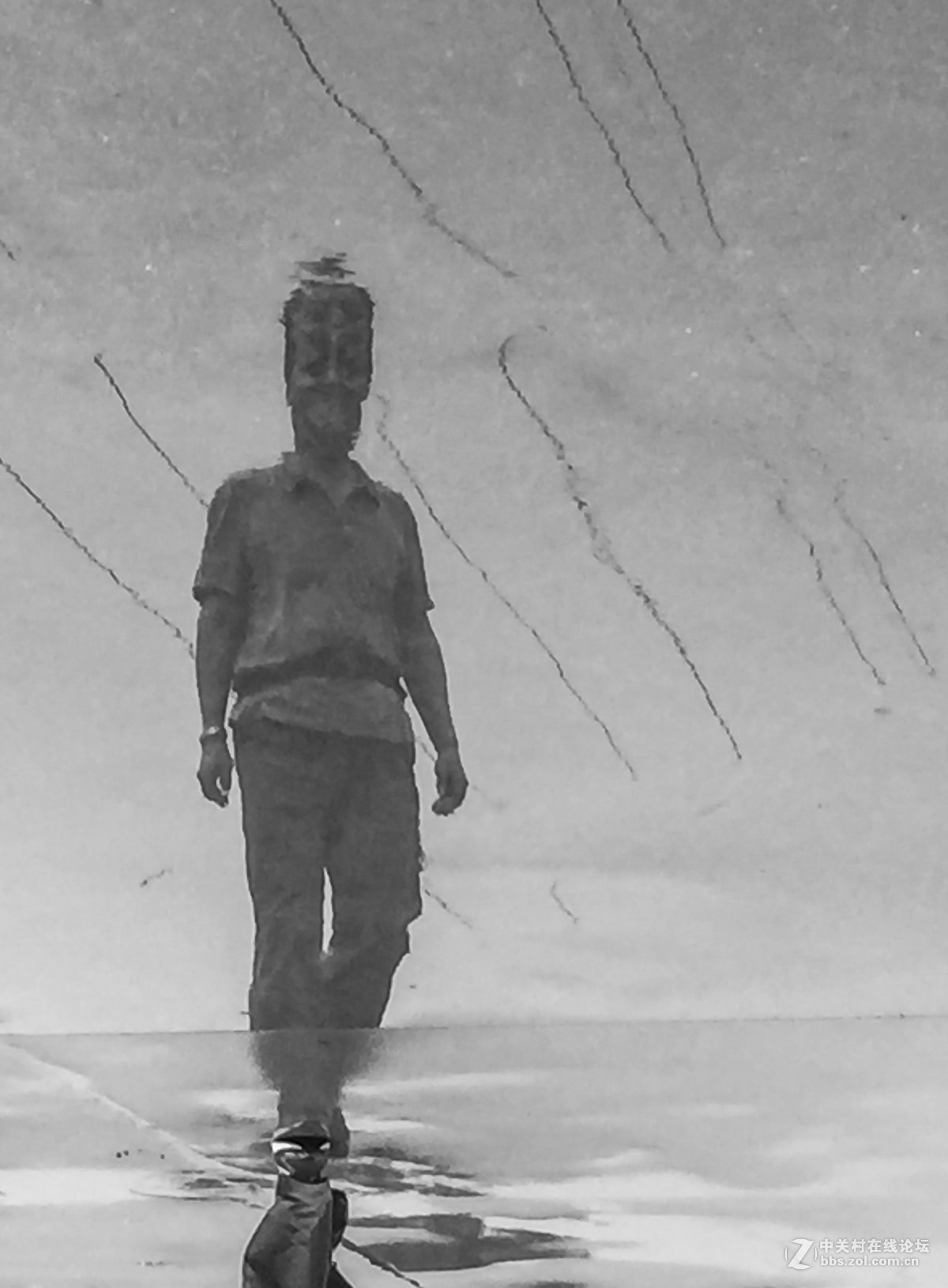 山雨欲来风满楼