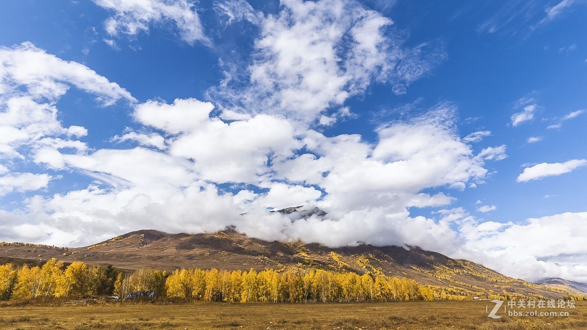 新疆------禾木（续）