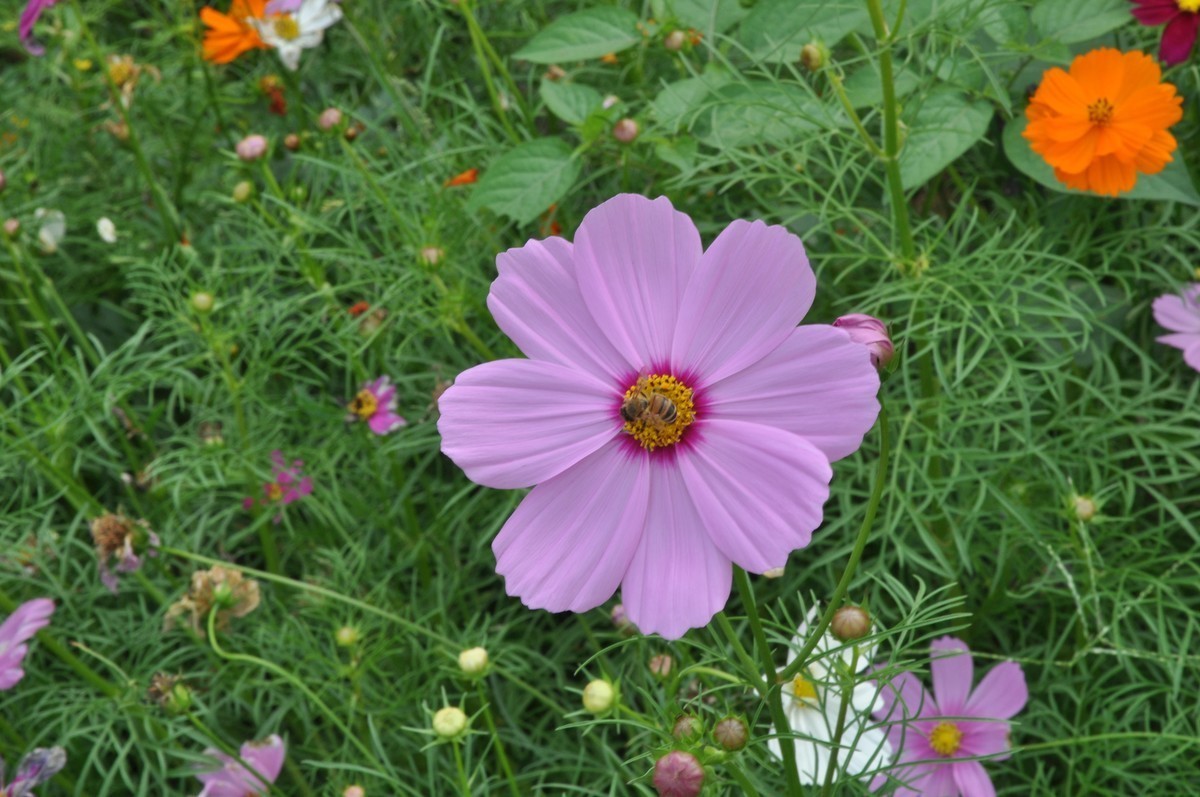 第一次用D5000拍摄，欢迎大家指点