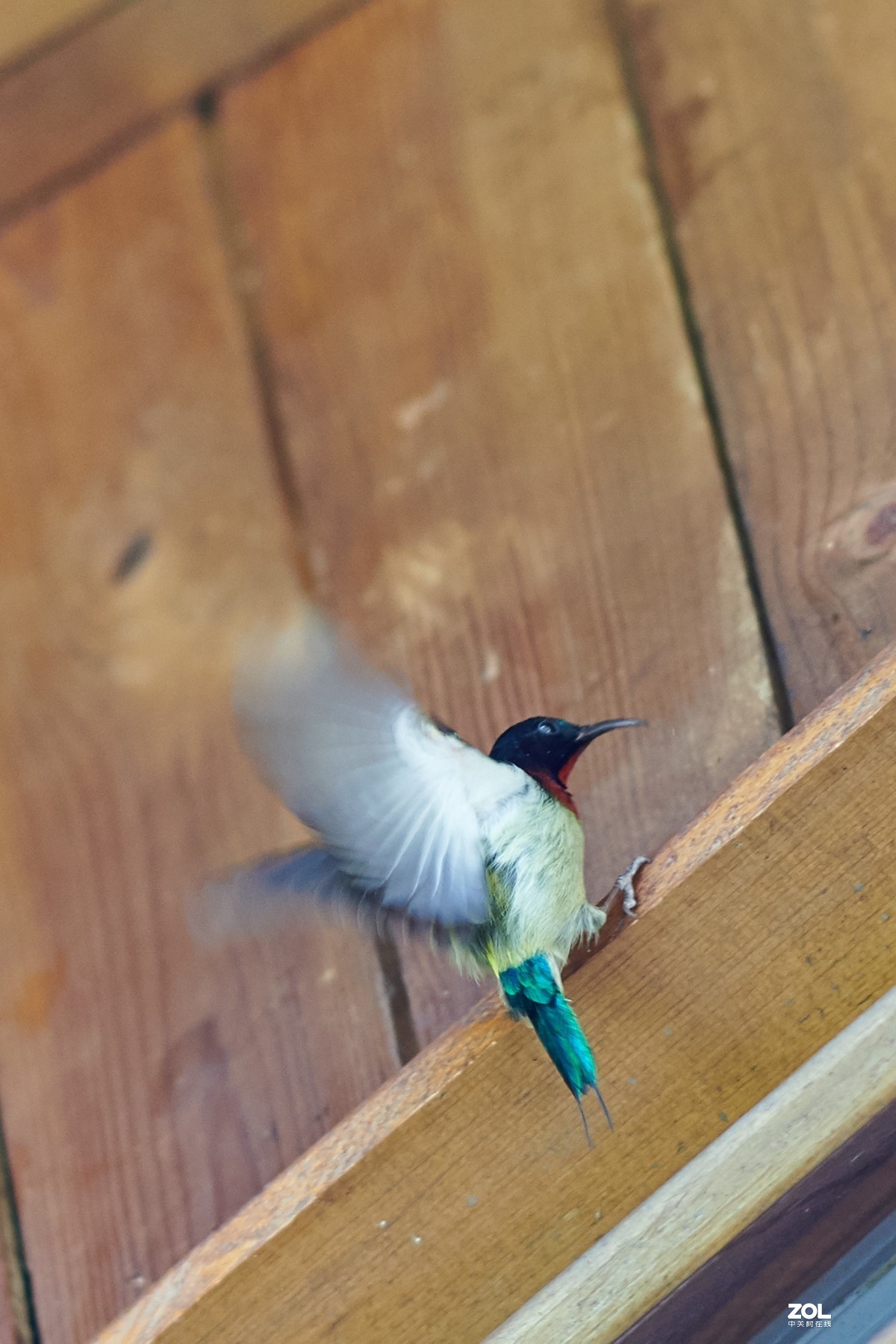 继续不务正业之 850+105E 打鸟