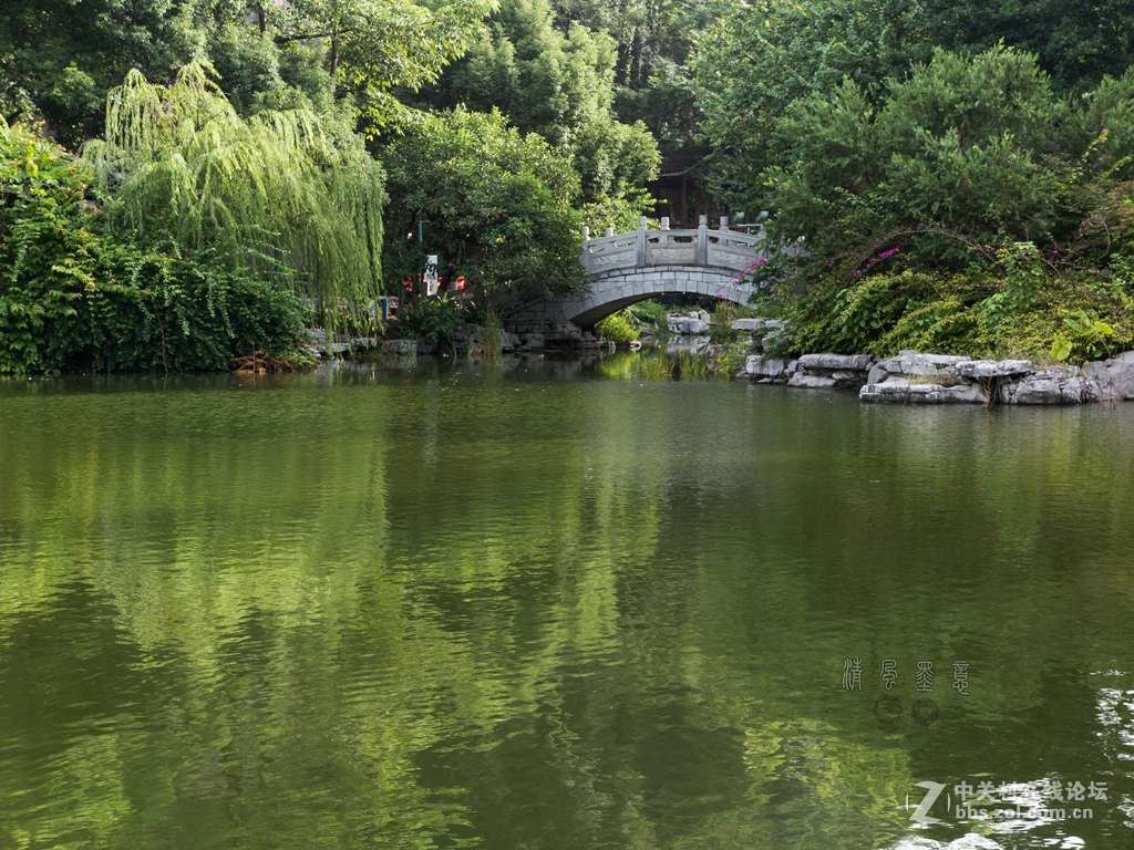 光影，山石、植物的肌理
