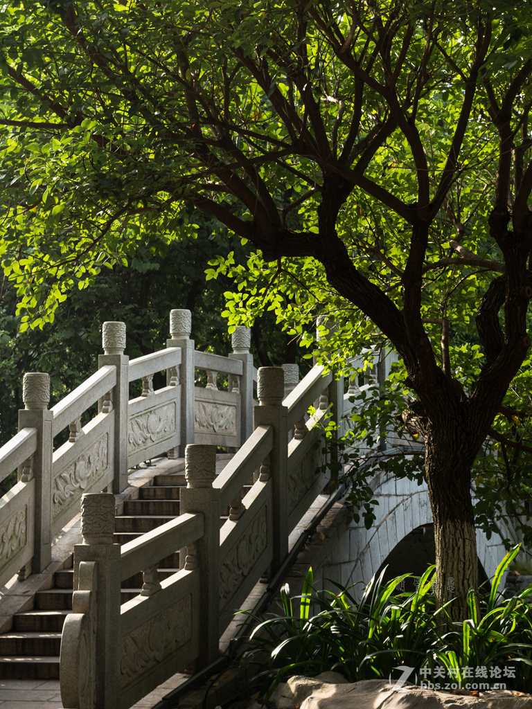 光影，山石、植物的肌理