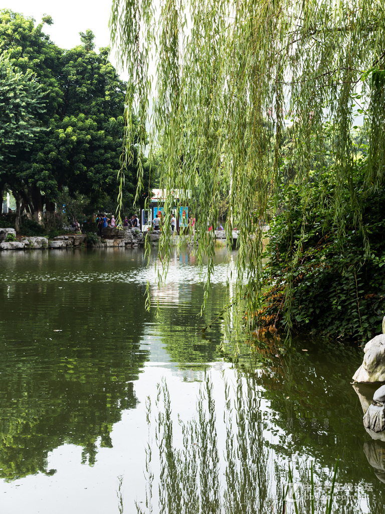 光影，山石、植物的肌理