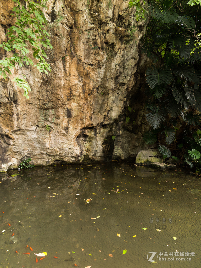 光影，山石、植物的肌理