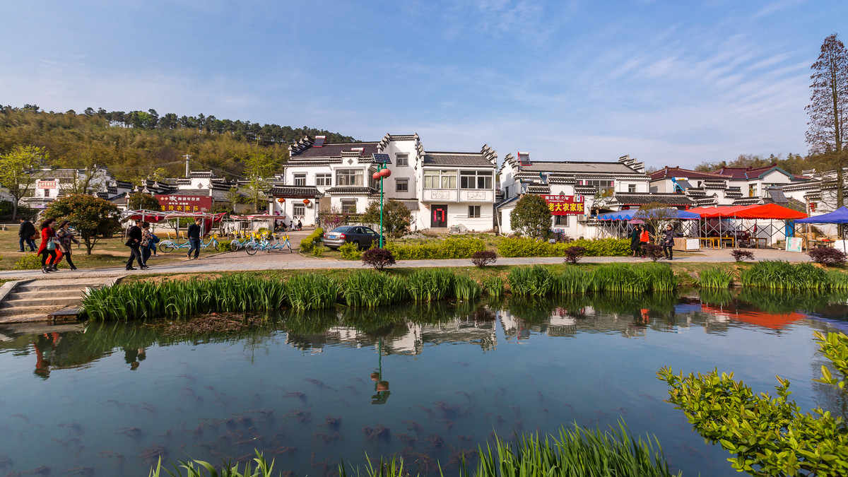 美丽乡村石塘竹海石塘村二