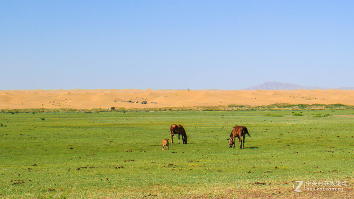 带着M3游青海（三）腾格里