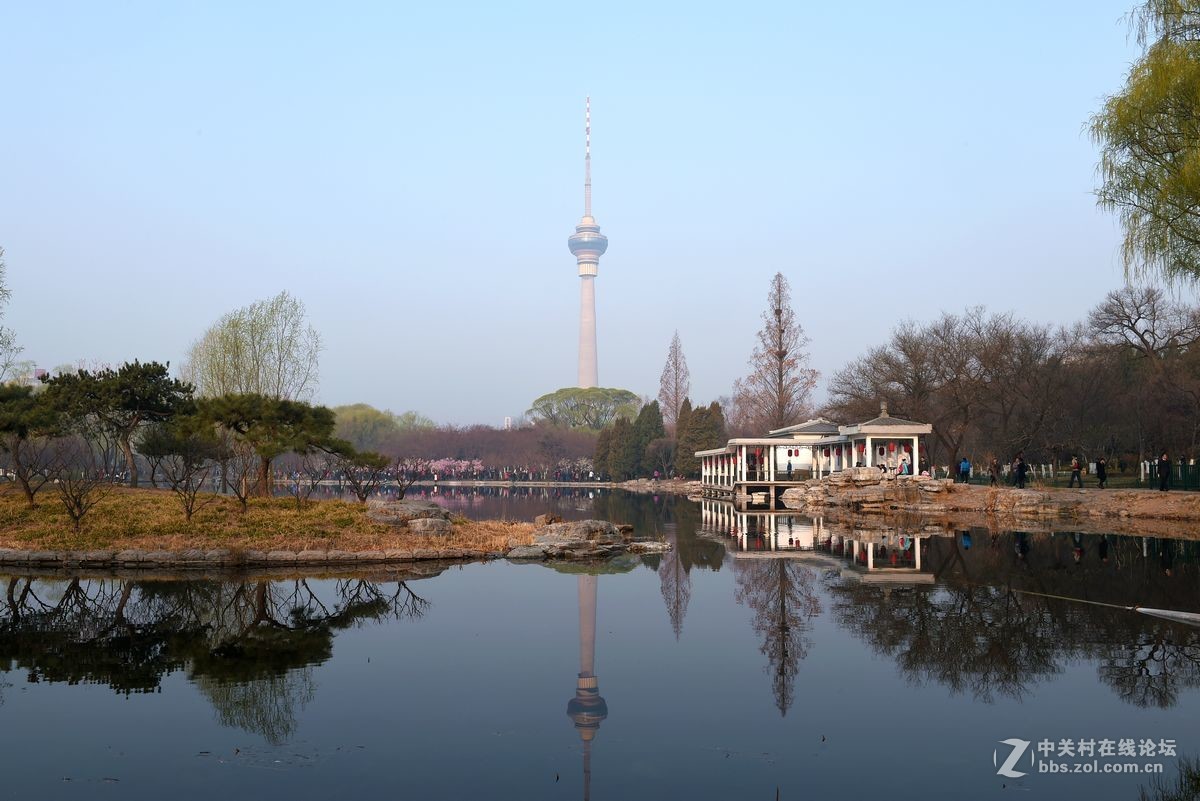花开——玉渊潭（二）