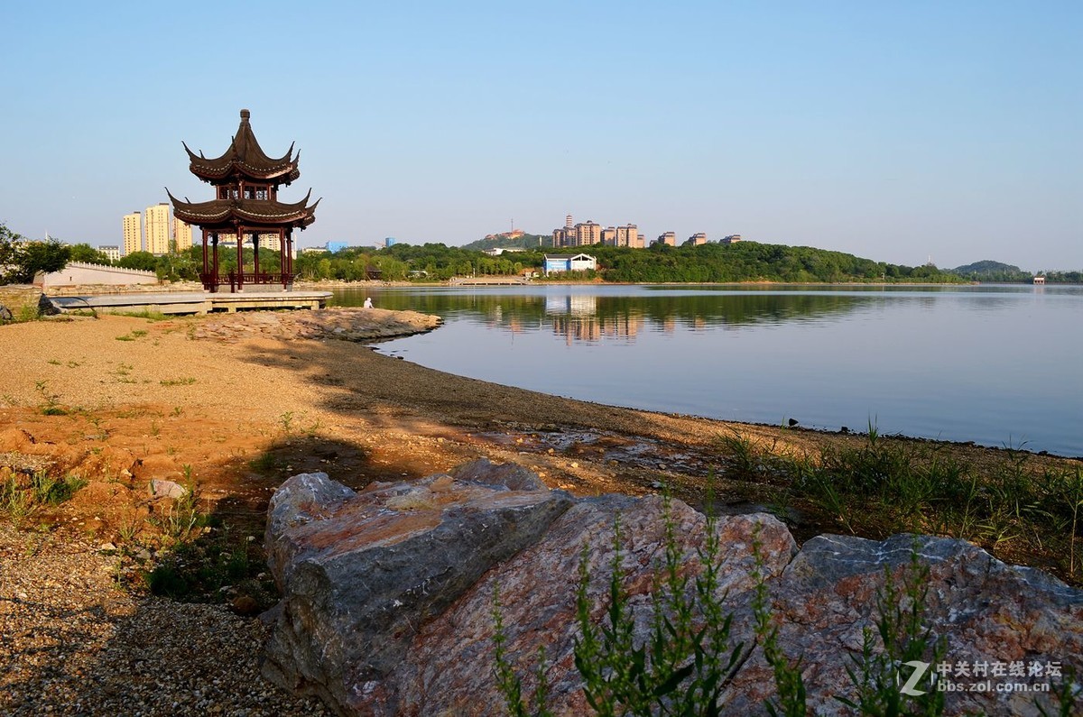 岳阳千亩湖湿地公园图片