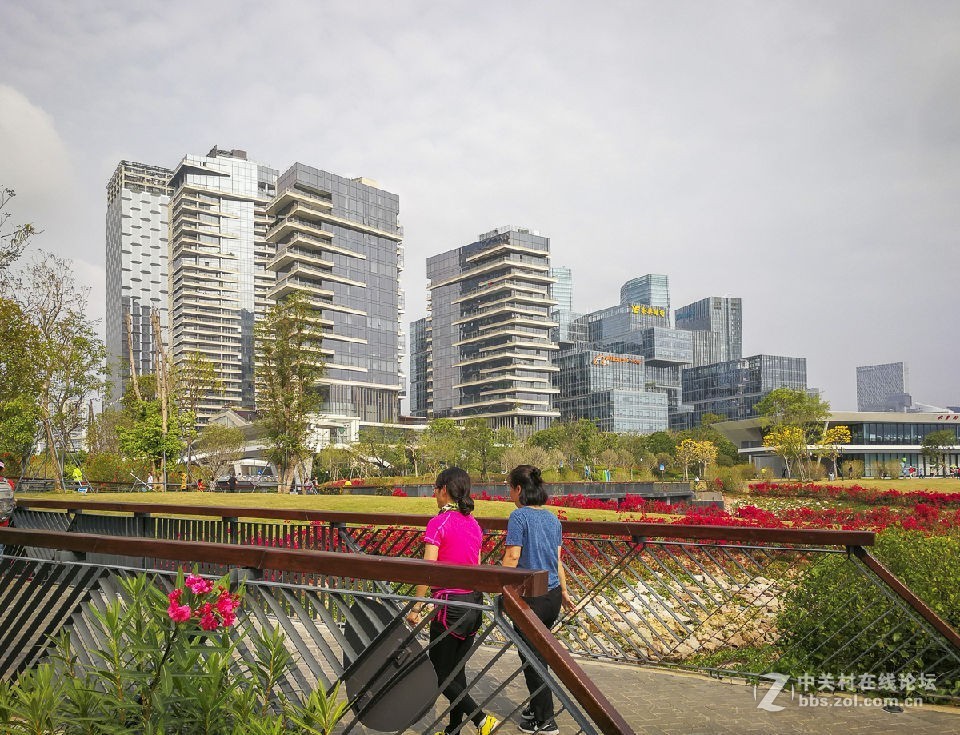 深圳人才公園掠影