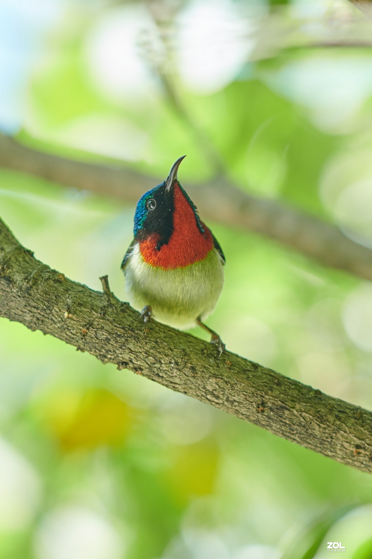 继续不务正业之 850+105E 打鸟