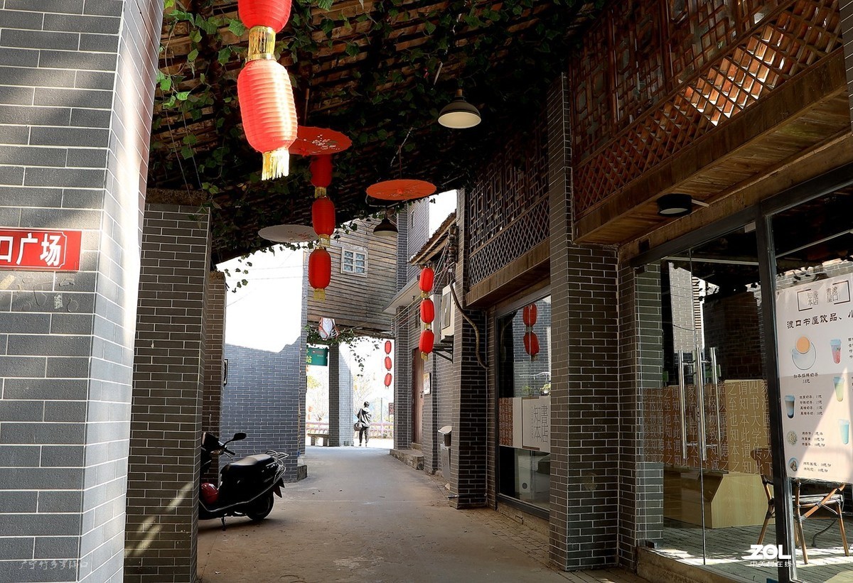 广东肇庆新农村示范村广宁罗锅口老街2