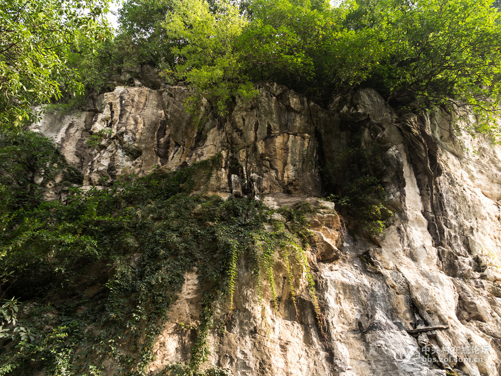 光影，山石、植物的肌理