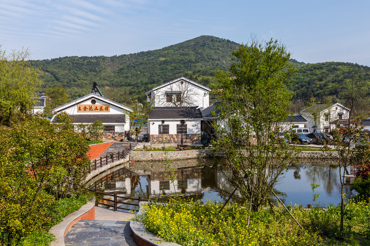 美丽乡村石塘竹海石塘村二