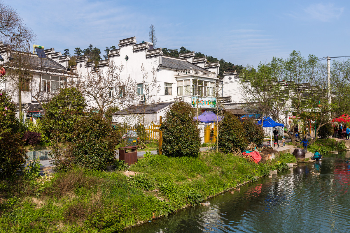 美丽乡村石塘竹海石塘村二